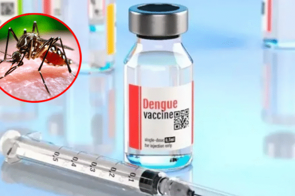 বিশ্বের প্রথম এক ডোজের ডেঙ্গু টিকা অনুমোদন দিল ব্রাজিল