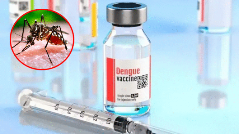 বিশ্বের প্রথম এক ডোজের ডেঙ্গু টিকা অনুমোদন দিল ব্রাজিল