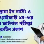 ডিপ্লোমা ইন নার্সিং ও মিডওয়াইফারি ১ম–৩য় বর্ষের ফাইনাল পরীক্ষা রুটিন প্রকাশ | BNMC Latest Exam Update 2025