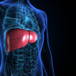 লিভার থেকে দূষিত পদার্থ বের করতে সহায়ক ৫টি উপকারী সবজি