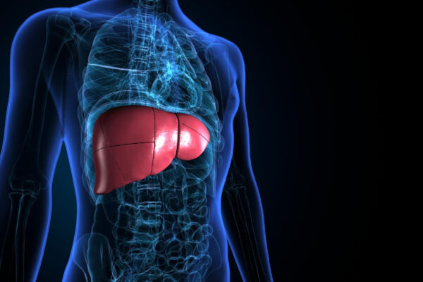 লিভার থেকে দূষিত পদার্থ বের করতে সহায়ক ৫টি উপকারী সবজি