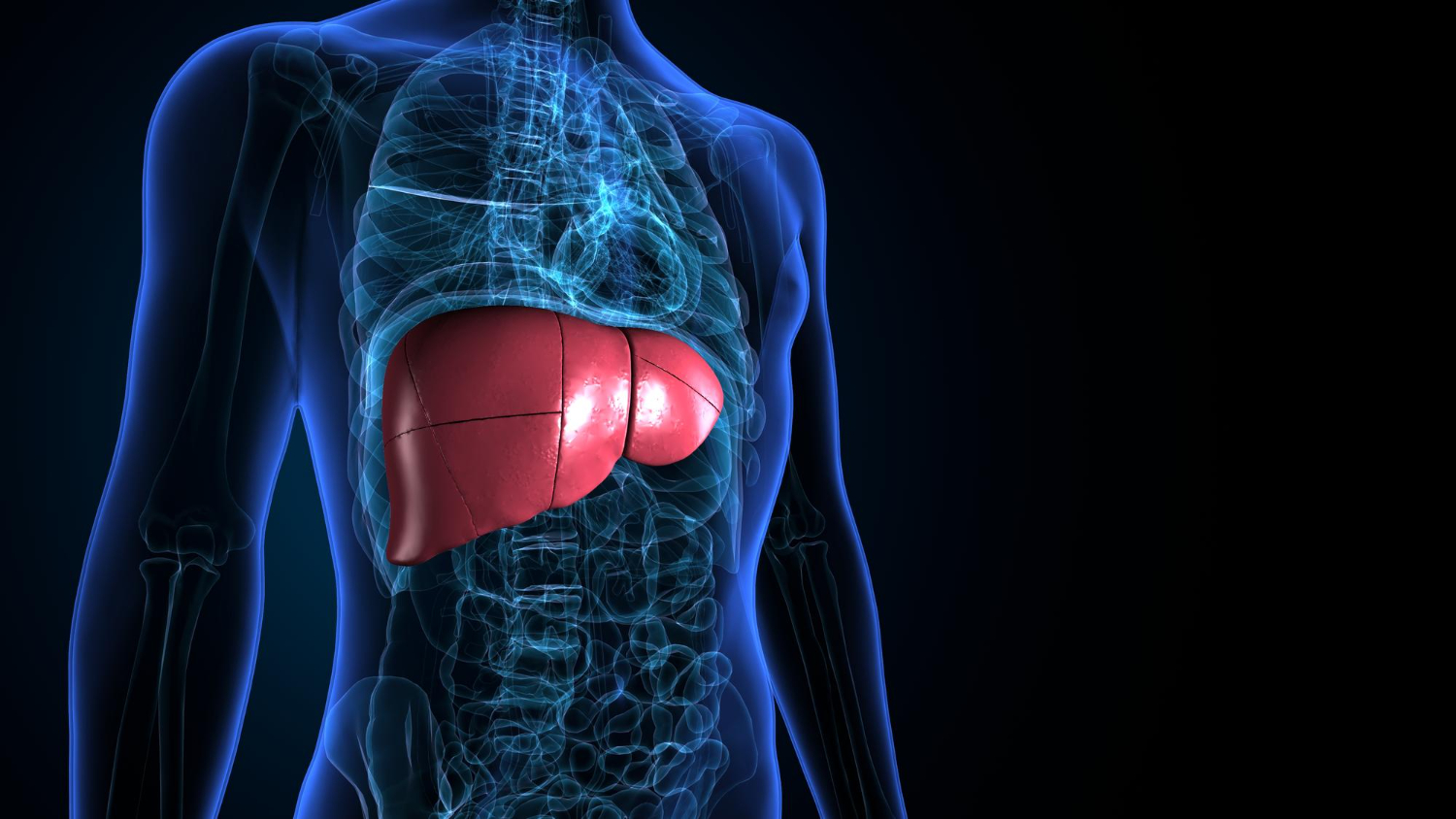 লিভার থেকে দূষিত পদার্থ বের করতে সহায়ক ৫টি উপকারী সবজি